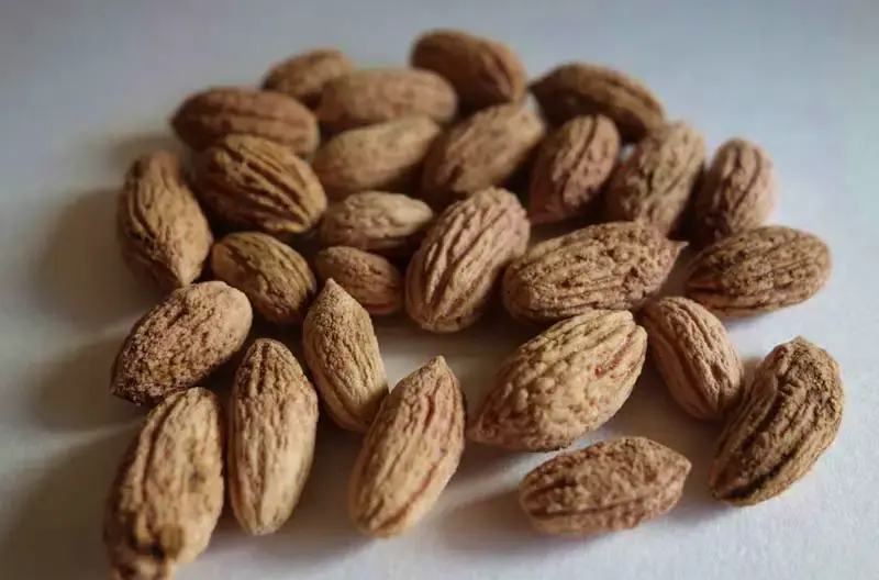 Toptan pirina (zeytin posası/çekirdeği) — biyokütle yakıt