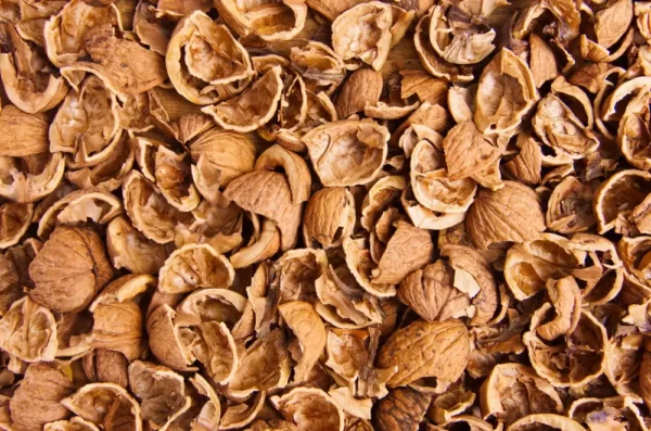 Ceviz Kabuğu Walnut shell biomass bio fuel(3)_toptankabuksatisicom