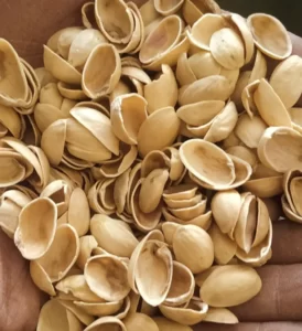 Fıstık Kabuğu Karbonize kömürü peanut shell charcoal pistachio shell(5)_toptankabuksatisicom