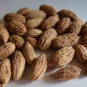 Zeytin Çekirdeği(2) olive seeds_toptankabuksatisicom