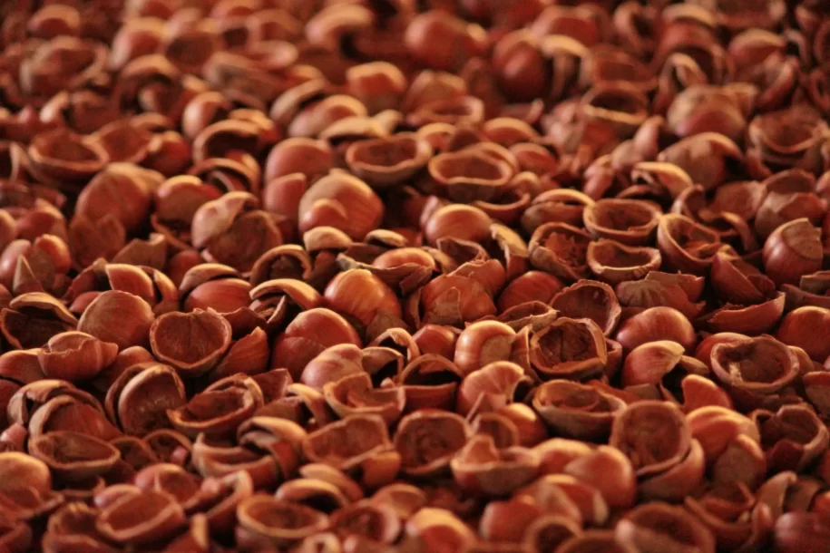 Fındık kabul çuval fiyatı ve satışı