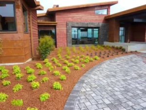 hazelnut shell mulch